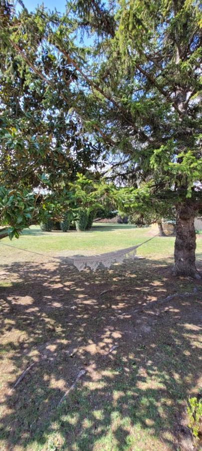 Liberty Bed & Breakfast Entraigues-sur-la-Sorgue