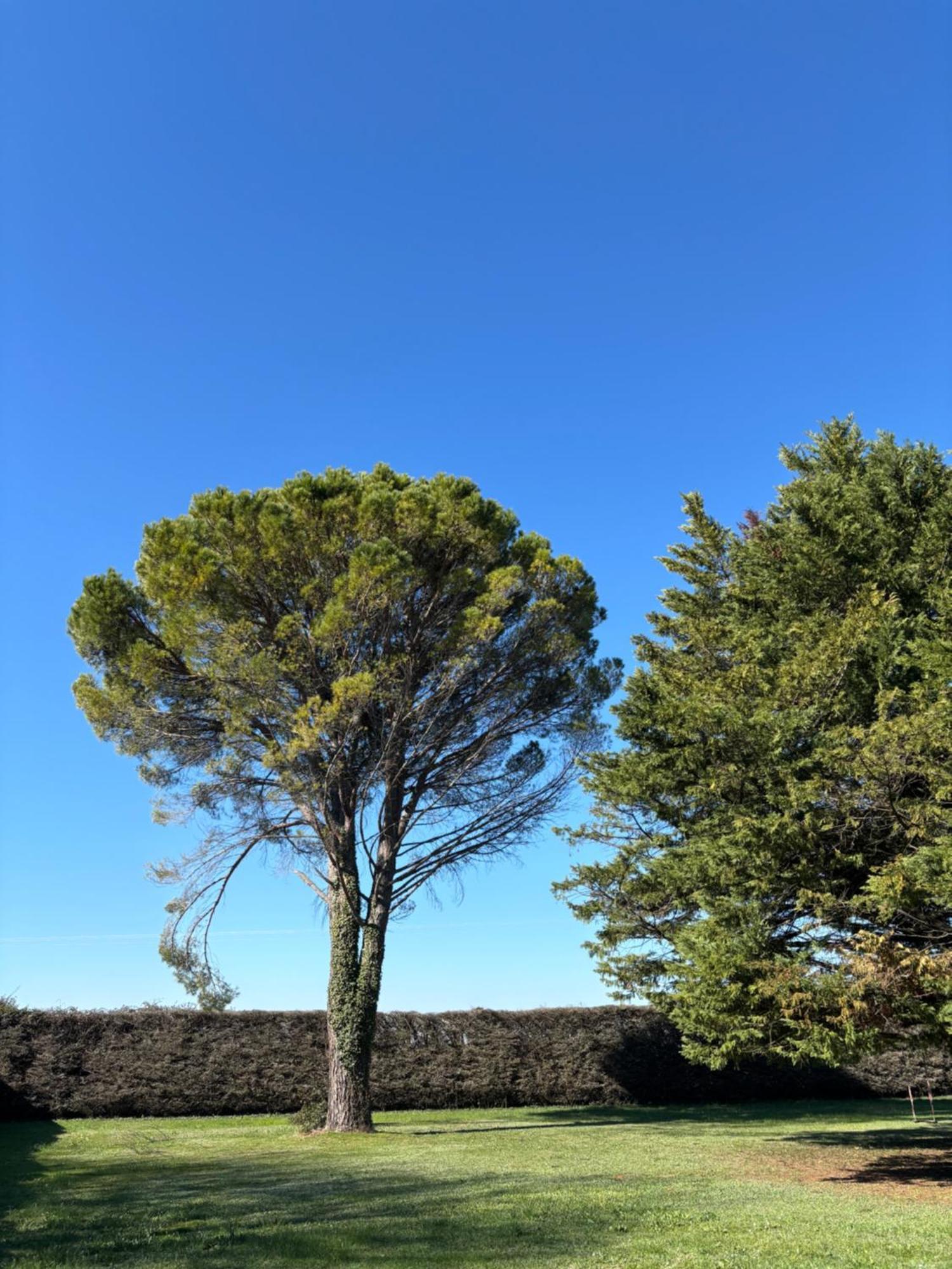Liberty Bed & Breakfast Entraigues-sur-la-Sorgue